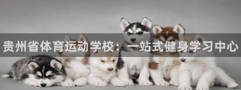 米兰体育官网下载招商电话是多少啊：贵州省体育运动学校