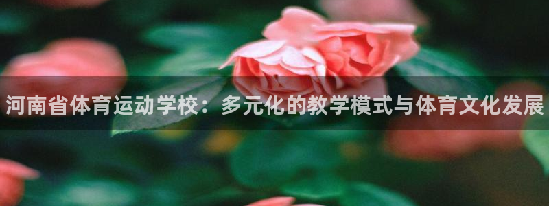 米兰体育官网下载注册：河南省体育运动学校：多元化的教