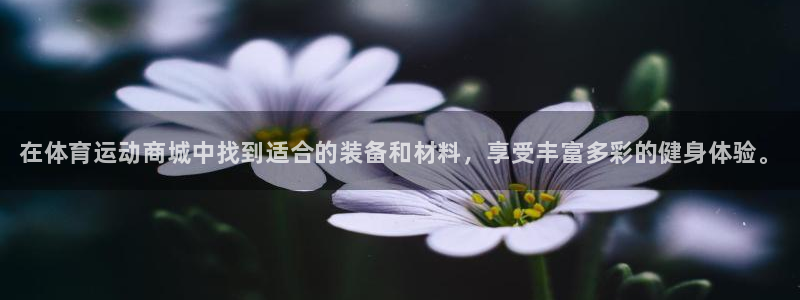 米兰体育官方正版app集团官网网址：在体育运动商城中