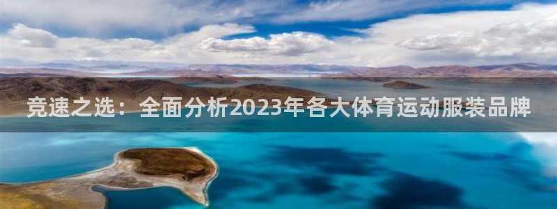 米兰体育官网下载官方客服电话：竞速之选：全面分析20