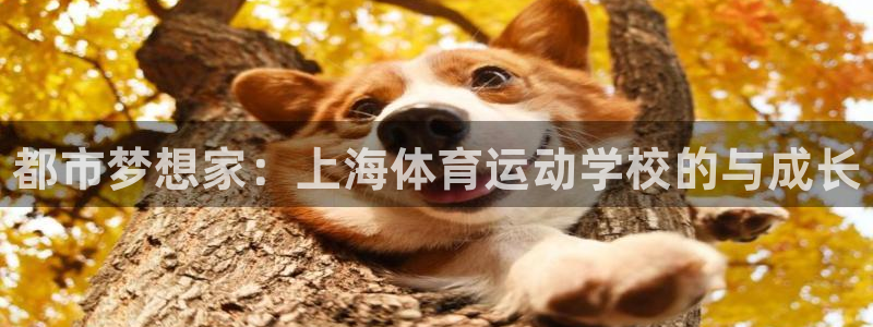 米兰体育官网下载平台是正规平台吗安全吗