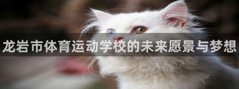 米兰体育官网下载招商电话号码查询：龙岩市体育运动学校
