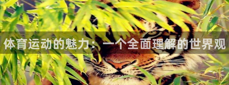 米兰体育官方正版app官网：体育运动的魅力：一个全面