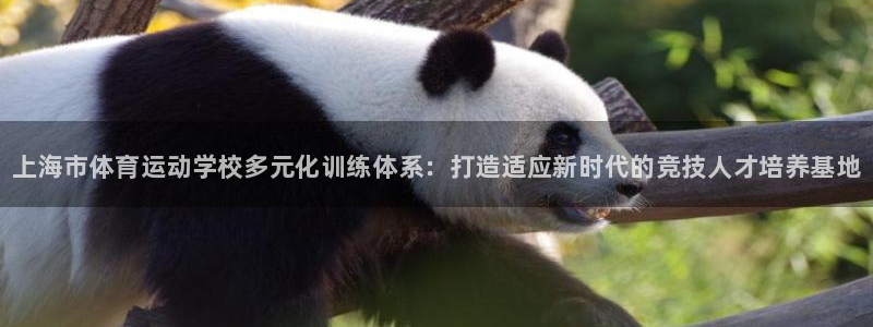 米兰体育官网下载招商电话号码是多少：上海市体育运动学