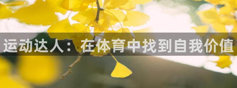 米兰体育官方正版app娱乐代理怎么样