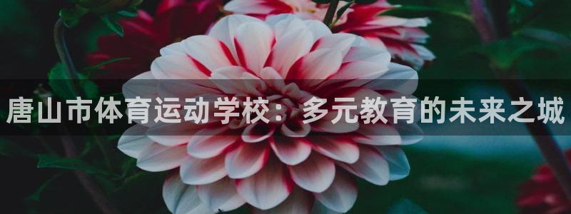 米兰体育官网下载招商电话号码查询是多少：唐山市体育运