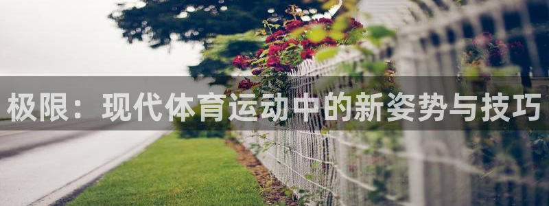 米兰体育官方正版app娱乐平台：极限：现代体育运动中的新姿势