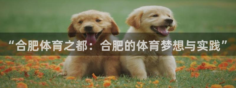 米兰体育官网下载软件