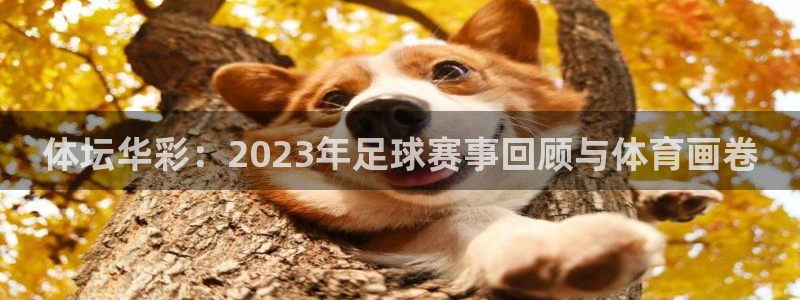 注册米兰体育官方正版app：体坛华彩：2023年足球赛事回顾