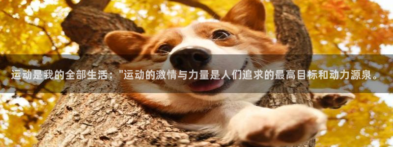 米兰体育官网下载平台注册要钱吗：运动是我的全部生活：