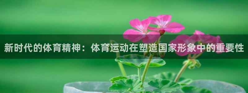 米兰体育官方正版app集团官网首页：新时代的体育精神：体育运