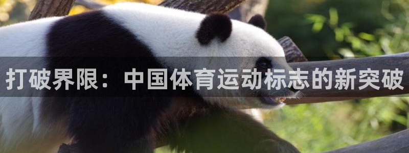 海南米兰体育官网下载