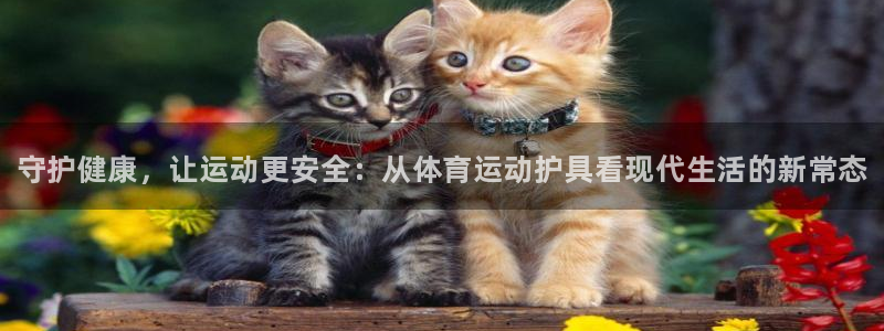 米兰体育官方正版app集团官网首页网址
