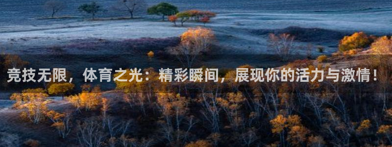 米兰体育官方正版app官网