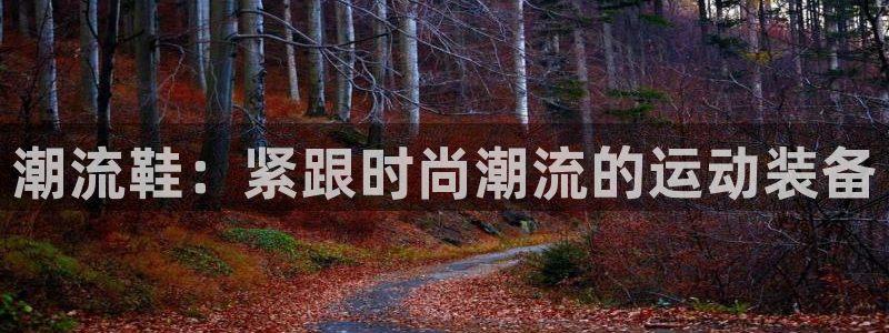 米兰体育官网下载平台注册要钱吗：潮流鞋：紧跟时尚潮流的运动装