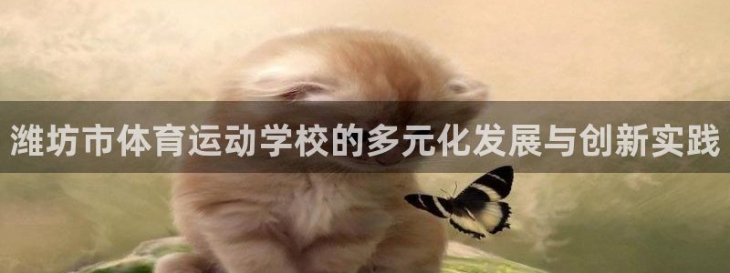 米兰体育买球安全吗可靠吗：潍坊市体育