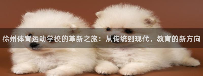 米兰体育钱被冻结了怎么办：徐州体育运动学校的革新之旅：从传统