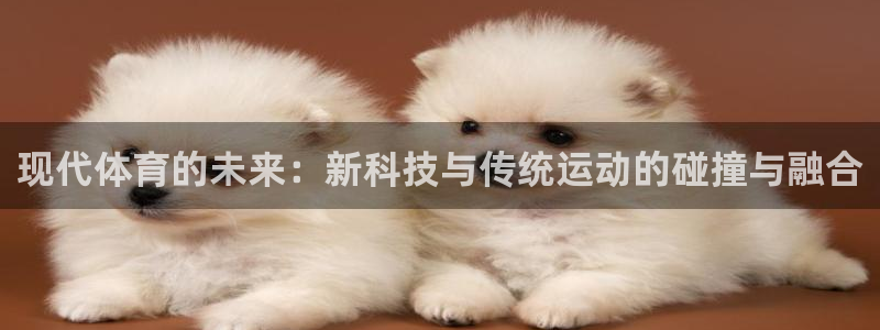 米兰体育是黑台吗还是白台：现代体育的未来：新科技与传统运动的