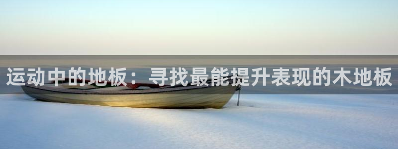  米兰体育娱乐app：运动中的地板：寻找最能提升表现的木地板