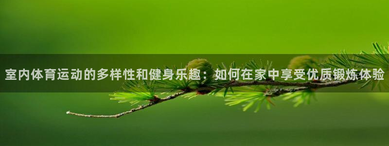 米兰体育软件怎么样可靠吗：室内体育运动的多样性和健身乐趣：如