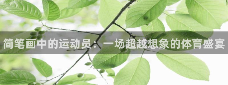 米兰体育绑定银行卡安全吗可靠吗：简笔
