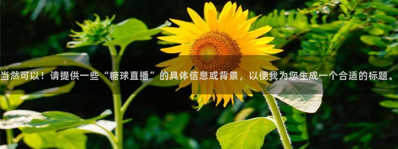 球友体育在线直播观看：当然可以！请提供一些“糖球直播”的具体信息或背景，以便我为您生成一个合适的标题。