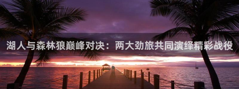 球友直播下载：湖人与森林狼巅峰对决：两大劲旅共同演绎精彩战役