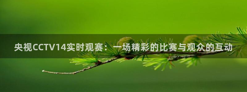 qy千亿球友体育：央视CCTV14实时观赛：一场精彩的比赛与观众的互动