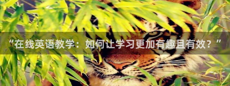 qy球友会体育网站：“在线英语教学：如何让学习更加有趣且有效？”