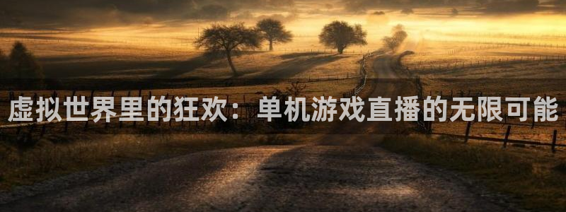 nba球友直播：虚拟世界里的狂欢：单机游戏直播的无限可能