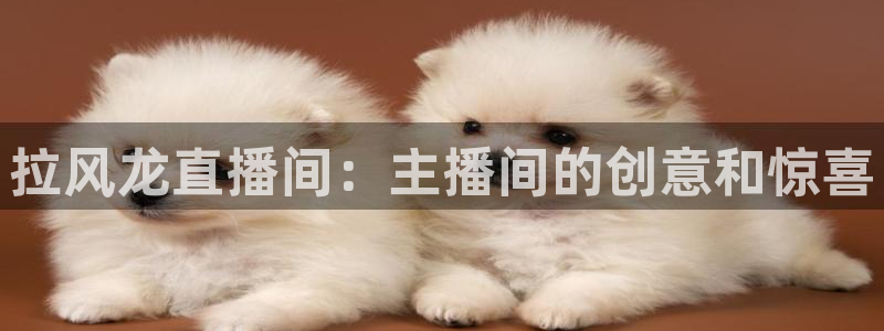 球友体育在线直播观看：拉风龙直播间：主播间的创意和惊喜